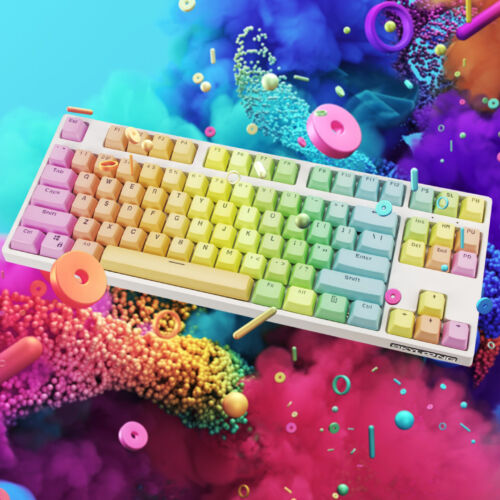 TKL Custom Mechanická Klávesnice v barvě Rainbow - bílý plastový case